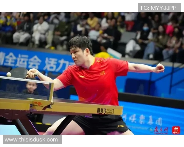 樊振东与奥恰洛夫巅峰对决乒乓球赛精彩回顾与分析